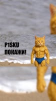 Покажи P1SKU! 🤣.mp4