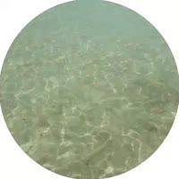 video2.mp4