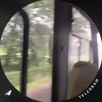 video (7).mp4