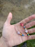 IMG20250603061703.jpg