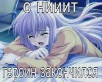 17535659875000.webp