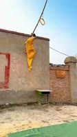 видеогифки,videogif,гиф анимация,гифки - ПРИКОЛЬНЫЕ gif анимашки,собакен,прыжок.webm