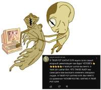 17422546892400.jpg