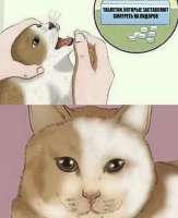1703361584635.jpeg