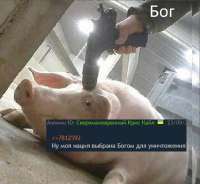 bf6da9a0-0654-11f0-b948-bdafdfee43b3.png