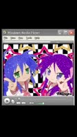 17531812976742.webm