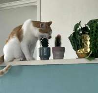 IMG20250815230122317.jpg