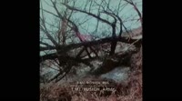 16546199429850.mp4