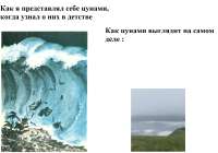 Камчатка-цунами-видеогифки-5589563.jpeg