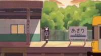 17556326118430.webm