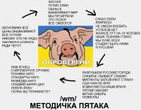 17458173180420.jpg