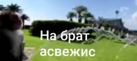 1.mp4