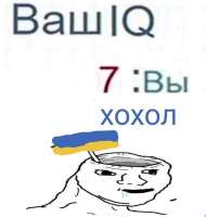 iq хохол.jpg