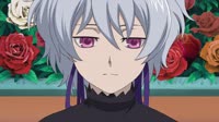 1691052307550.webm