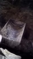 17365434492900.webm