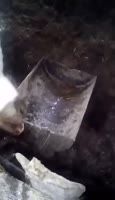 17365434492900.webm