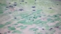 original (3).mp4