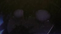 1627560383309.mp4