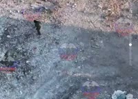 17426394002381.mp4