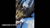 17425385872902.mp4