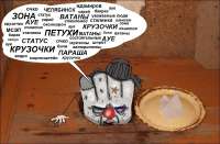 IMG6335.jpeg