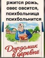 дурка-8590815.jpeg