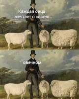 17479010687793.jpg