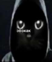 1748642737877.jpg