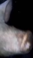 17365434492900.webm