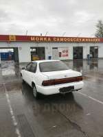 сorolla.jpg