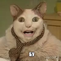 1747572232016.mp4