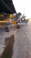 1607934701487.mp4