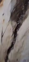 accidentfailurefloodCracked foundation flooding during thunderstorm, 1550$ a month [w73fz50m6t1f1].mp4