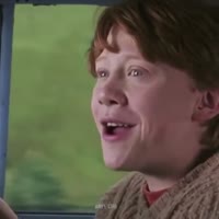 15305030634451.webm