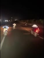 1612436880050.mp4