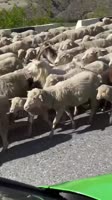 @ru2ch (2).mp4