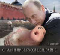 15028050169140.jpg