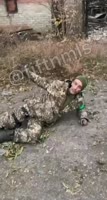 17311699427110.mp4