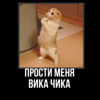 картинка-Вика-Чика-Прости-меня-167.jpg