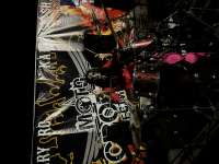 IMG8660.jpeg