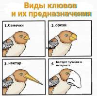 17188827031920.png