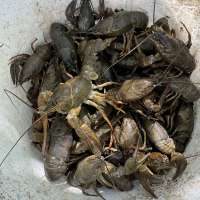 IMG8745.jpeg