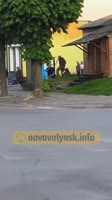 1748783510484.mp4