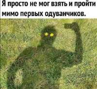 17428156177123.jpg