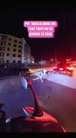 1677108418188.mp4