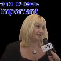 6337885.512.webp