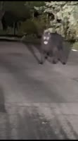 SaveClip.AppAQMnDvptsVhOK3OdtQ14uRHwXmQs0R7fp-Uq-cIeiRU923ETZDTTcqWCmdXHoVNHFrev8u9xJiV3956-VXNUY4ulE16oLPW2vwzbEY.mp4