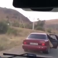 пиздят овцу.webm