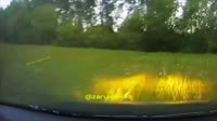video5.MOV
