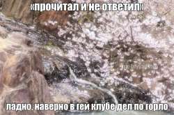 IMG2118.jpeg